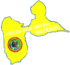 Cliquer ici pour voir le GWADA KICK BOXING DEFENSE en Guadeloupe � Baie-Mahault - FITBS PRO